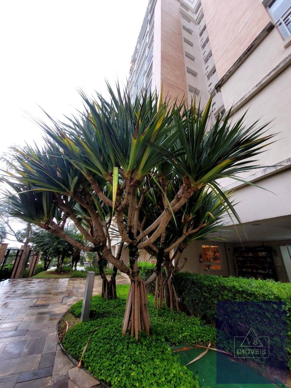 Casa, 3 quartos, 137 m² - Foto 34